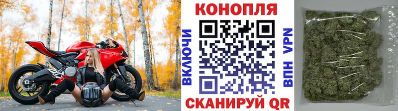 Бошки Шишки Ganja  Купить закладки  Светлый 